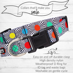 Lucky Love Dog easy-click buckle closeup aids quick on/off during busy mornings.