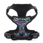 Lucky Love Dog Easy Walker harness on a dog for secure everyday walks
