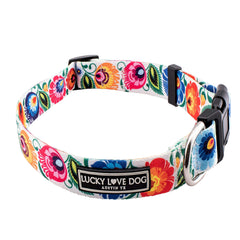 Lucky Love Dog Ladybird collar shown fully with secure adjustable fit.