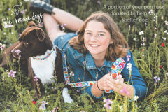 Lucky Love Dog Ladybird Combo leash with 5 ft reach and soft hand grip.