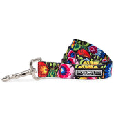 Lucky Love Dog Leash in Blackbird pattern close-up with vibrant colors for high-visibility walks.