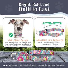 Lucky Love Dog Martingale Collar Caroline adjustable fit for medium dogs.