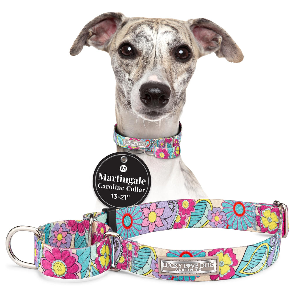 Lucky Love Dog Martingale Collar Caroline front view showing secure fit.