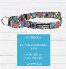 Lucky Love Dog martingale collar no-slip design on a playful dog during a walk
