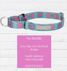 Lucky Love Dog martingale collar pattern wrap shows vibrant design for stylish walks