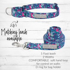 Lucky Love Dog martingale collar patterned design Carriebelle small demonstrates stylish comfort