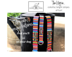 Lucky Love Dog martingale collar walking action shows comfortable, soft webbing in use