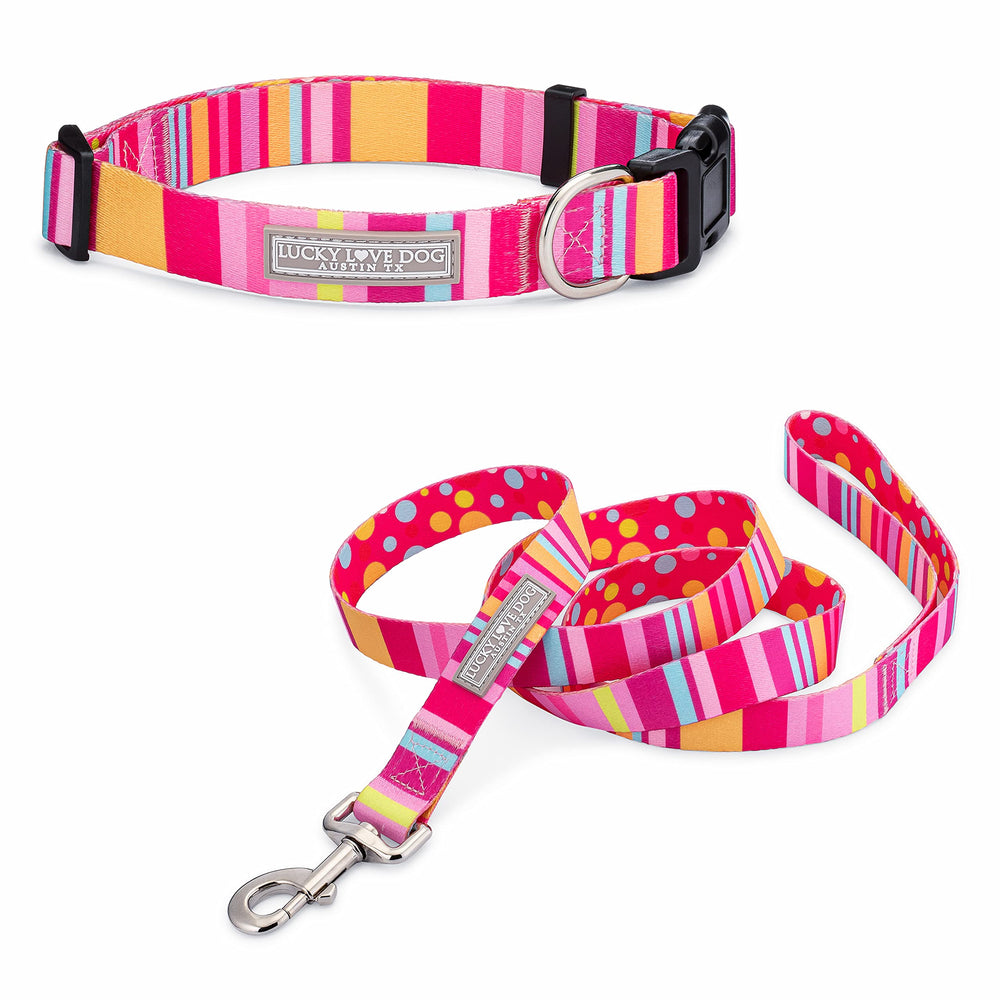 Lucky Love Dog Molly Combo collar close-up shows durable nylon for daily adventures.