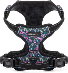 Lucky Love Dog no pull harness primrose front view for secure daily walks