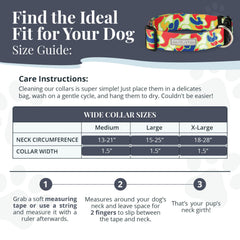 Lucky Love Dog Oscar bright blue collar enhances visibility on evening strolls.