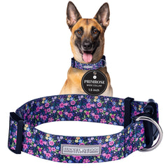 Lucky Love Dog wide collar Primrose adjustable-buckle for a secure, comfortable fit.
