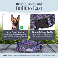 Lucky Love Dog wide collar Primrose on dog during everyday wear for comfort.