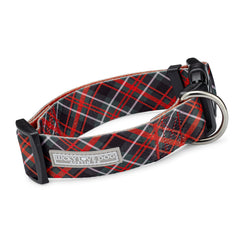 Lucky Love Dog wide collar on a dog's neck with soft, durable webbing for comfortable daily wear.