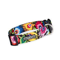 Lucky Love Dog wide collar buckle closeup shows durable hardware for daily walks.