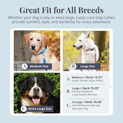 Lucky Love Dog wide collar on dog during walk demonstrates secure fit for medium to large breeds.