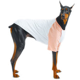 Lucky Petter dog shirt front view in white-peach; breathable cotton for year-round comfort.
