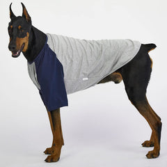 Lucky Petter gray navy colorways on dog shirt for everyday style