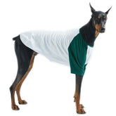 Lucky Petter raglan dog shirt front view for easy wear and fresh look