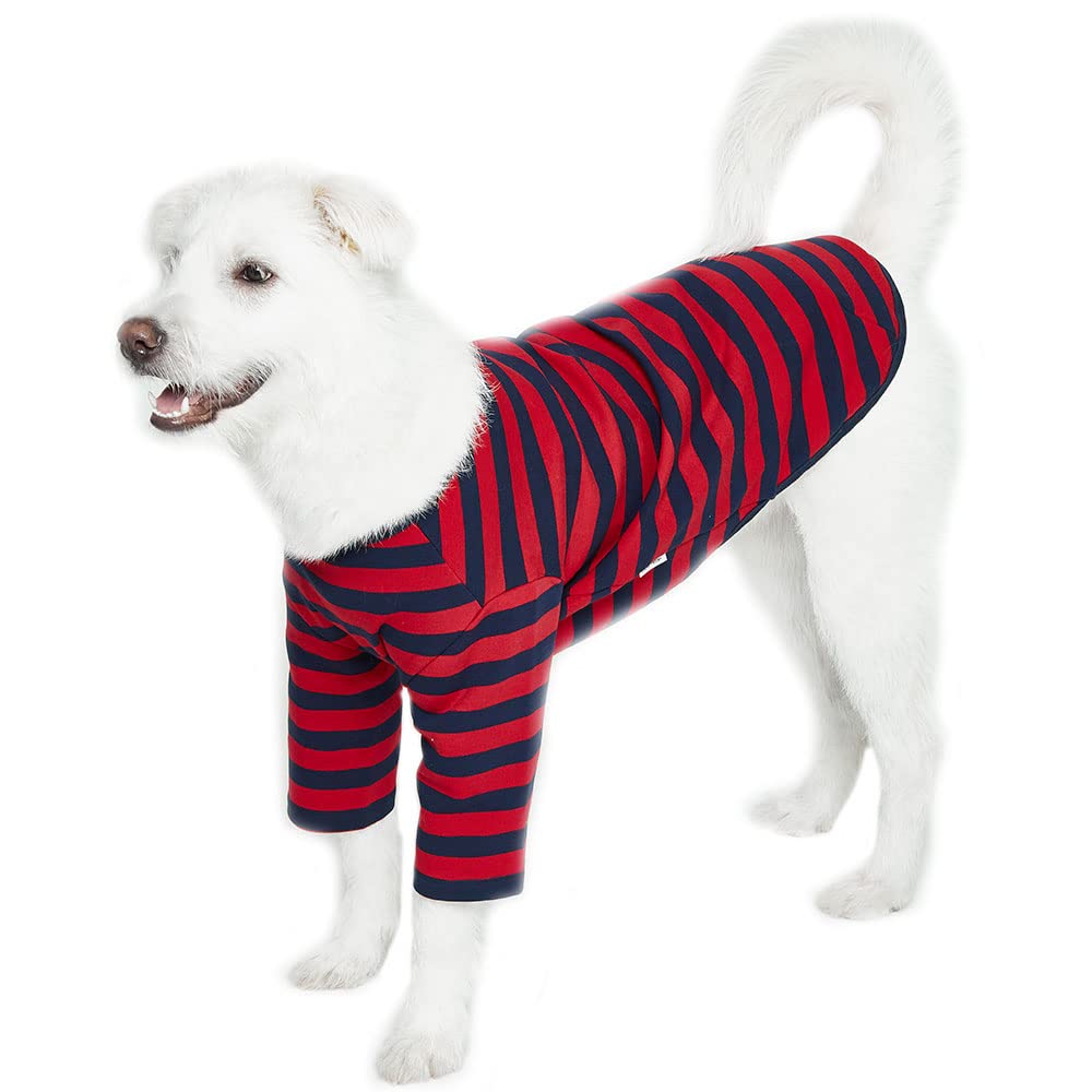 Lucky Petter rugby stripe dog shirt front view shows durable cotton fabric and neat stitching.