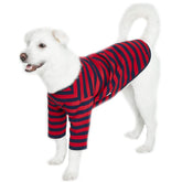 Lucky Petter rugby stripe dog shirt front view shows durable cotton fabric and neat stitching.