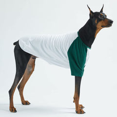 Lucky Petter raglan design on dog shirt showcasing neat look and breathable fit