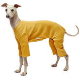 Lucky Petter small dog pajamas front view mustard for cozy cold-weather comfort