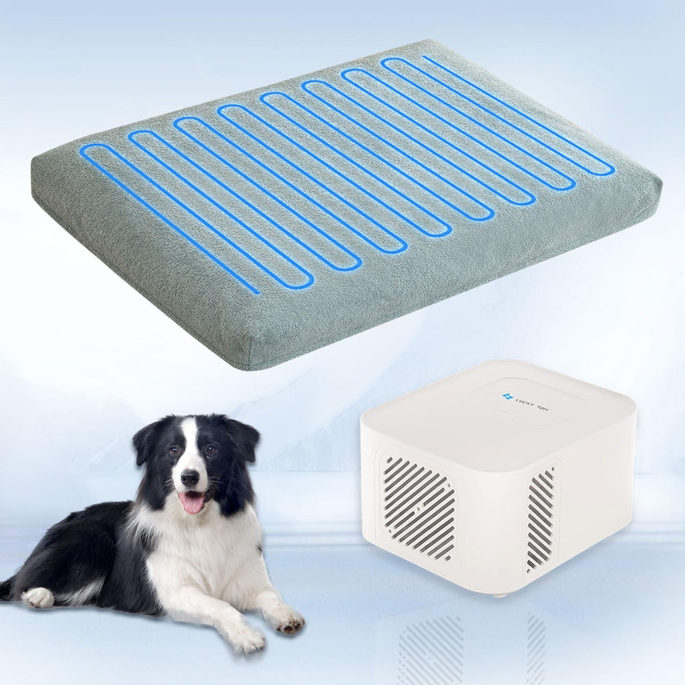 Lucky Tom pet bed cooling system front view showcases cooling comfort for warm days