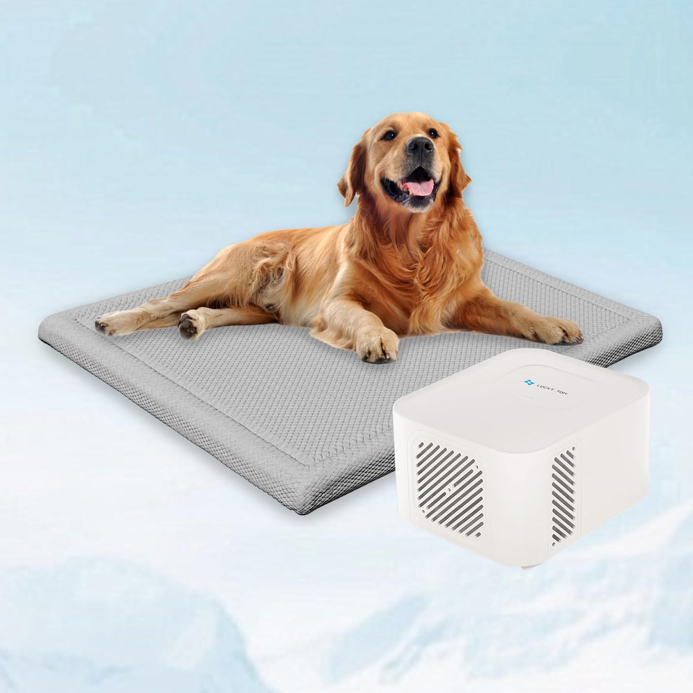 Lucky Tom pet pad cooling system gray XL front view offers durable cooling for large dogs.