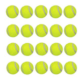 LUCKYERMORE 20-pack dog tennis balls ready for fetch with small dogs, featuring durable bounce.