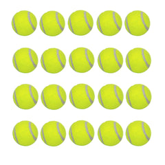 LUCKYERMORE 20-pack dog tennis balls ready for fetch with small dogs, featuring durable bounce.