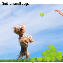 LUCKYERMORE nontoxic dog ball material ensures safe play and gentle teeth contact.