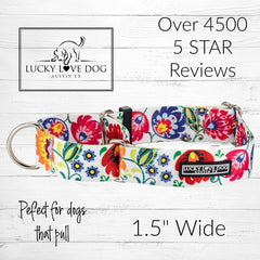 Lucky Love Dog wide martingale collar top view, soft durable webbing for daily walks.
