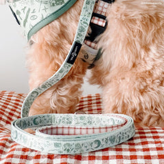 Lucy & Co 5ft leash paired with reversible harness for a coordinated look