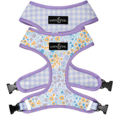 Lucy & Co reversible dog harness purple floral front view, stylish everyday walking