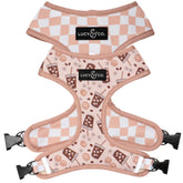 Lucy & Co. cute reversible dog harness front pattern for stylish daily walks.