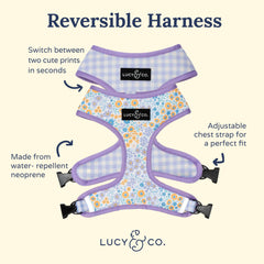 Lucy & Co padded vest close-up showing soft padding for comfort
