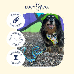 5-foot Lucy & Co leash in lime green blue checker for small dogs.