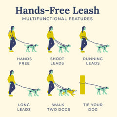 Lucy & Co Evergreen Hands-Free Leash configured for walking two dogs