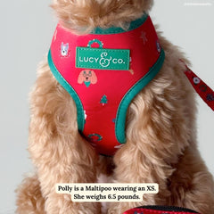 Lucy & Co. padded adjustable vest harness for XS–XL dogs