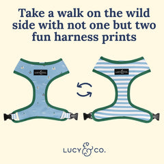 Lucy & Co padded vest harness close-up highlights soft padding and adjustable chest strap.