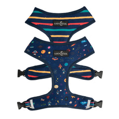 Lucy & Co Space Doodle harness front view showing comfy adjustable fit for daily walks