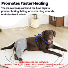 LufeLux connect-belt secures sleeve to harness for stable, dual-point fixation.
