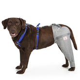 LufeLux dog leg sleeve with harness loop demonstrates secure anti-slip fit during play.