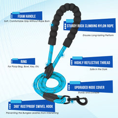 Lukovee shock-absorbing bungee reduces jolts during walks
