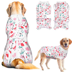 Lukovee Recovery Suit dog back-zipper shows easy wear for post-surgery care.
