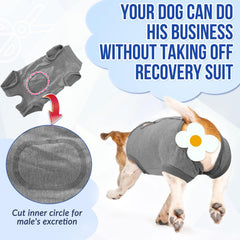 Lukovee Recovery Suit for Dogs demonstrates protection against scratching and licking wounds.