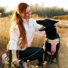 Lumi One adjustable-fit points ensure snug, secure wear for every dog.
