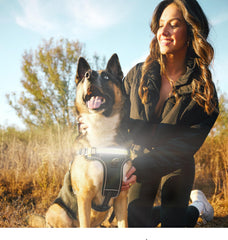 Lumi One durable harness uses sustainable materials for long-lasting pet safety.