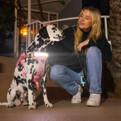 Lumi One rechargeable 3000mAh battery powers long-lasting dog-harness illumination.