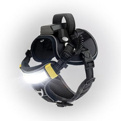 Lumi Pawtners Lumi One harness at night boosts visibility for safer walks.